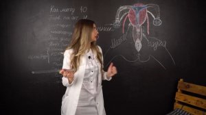 Как всё устроено?? Анатомия женских половых органов ☺️❤️Женская половая система ?