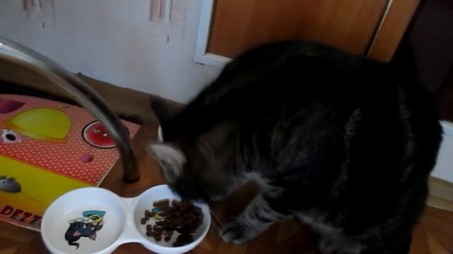 СНИМАЕМ ШВЫ МУРАВЕЙКЕ смотреть онлайн