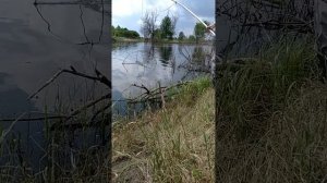 Телескопический шест для паука