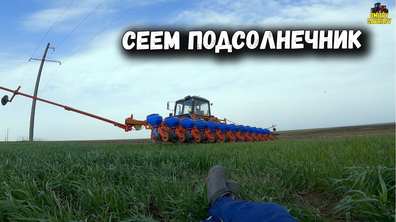 Как мы сеяли подсолнечник 2023 смотреть онлайн