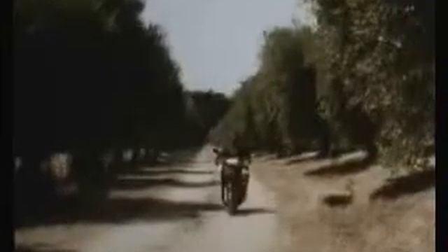 италянский пастух по яйцам бика оприделяет время смотреть онлайн