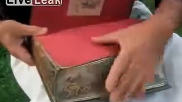 Картина в книге смотреть онлайн