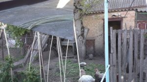 ПОДПОРКИ ДЛЯ ПОМИДОР. ИЗ ЧЕГО ДЕЛАЮ Я. Композитная арматура в огороде.