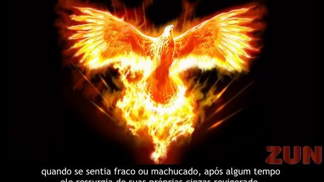 FOTOS DE TATUAGENS MASCULINAS FÊNIX смотреть онлайн
