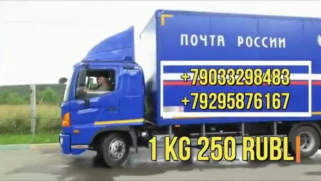 юк, почта, карго, посылка, грузоперевозка хизмати. Москва Санкт Петербург Узбекистан Ташкент. смотреть онлайн