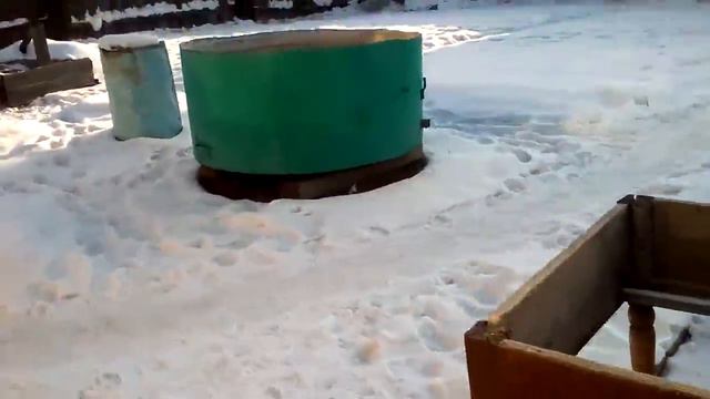 Сегодня я всех зрителей приглашаю на прогулку по полю с собакой. смотреть онлайн