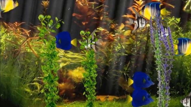 ФУТАЖИ-ТРОПИЧЕСКИЕ РЫБКИ смотреть онлайн