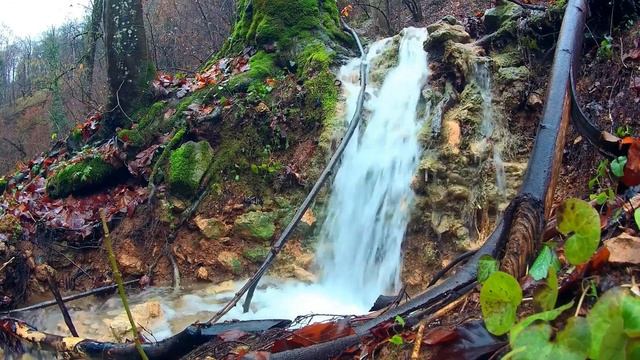 Небольшой водопад в осеннем лесу. Горный ручей, расслабляющий водопад с белым шумом для сна.Relaxin