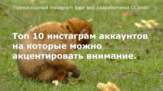 Превосходный instagram блог веб разработчика GConstr смотреть онлайн