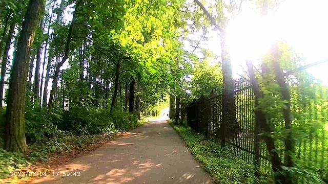 Главный ботанический сад имени Н.В. Цицина Российской академии наук смотреть онлайн