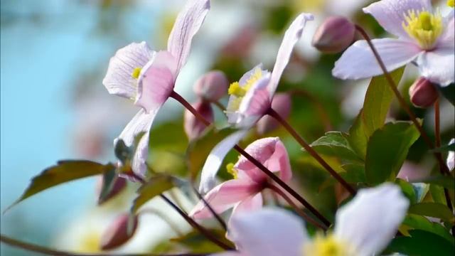 Муж постоянно критиковал мою внешность. А теперь хочет, чтобы я к нему вернулась.Истории из жизни смотреть онлайн