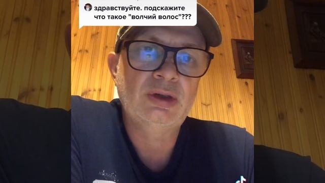 Отвечаю на вопрос о волчьем волосе смотреть онлайн