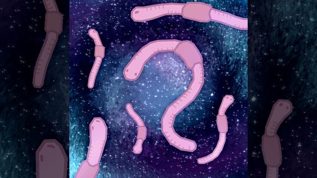 Prelude for Space Worms - Mongo Bongo смотреть онлайн