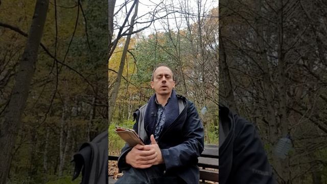 М Волошин. Часть третья. Отношения и конструктивное "Обманите меня" смотреть онлайн