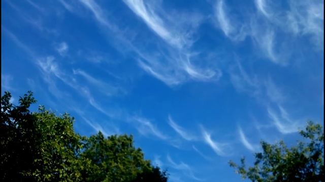 А. Блок - Лениво и тяжко плывут облака. Читает М. Белокопытова. Библиотека мкрн. Луговая смотреть онлайн