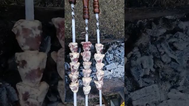 Шашлык из сердец индейки смотреть онлайн