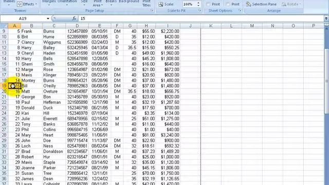 Excel 2007: Page Breaks смотреть онлайн