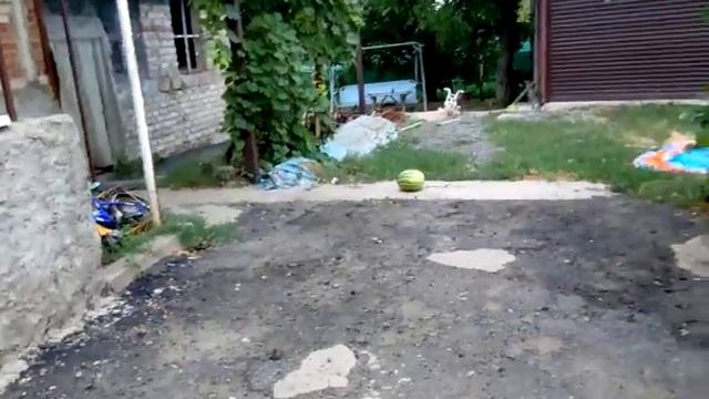 Хет шот в арбуз смотреть онлайн