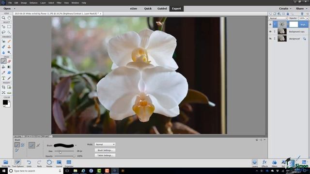 How to Use Layer Masks in Adobe Photoshop Elements 2018 - Part 4 смотреть онлайн