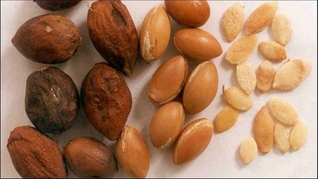 Natural Hair Conditioner For Your Hair Is Argan Oil - Home Usage Directions смотреть онлайн