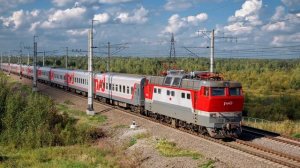 Секрет 38 места: почему многие предпочитают брать верхнюю боковую полку у туалета