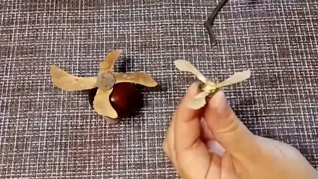 Как сделать поделку из природного материала. Вертолёт. смотреть онлайн