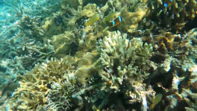 Tokashiki Island, Okinawa, Japan