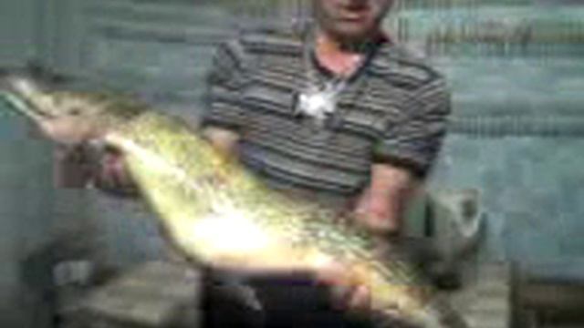 Щука на 7 кг смотреть онлайн