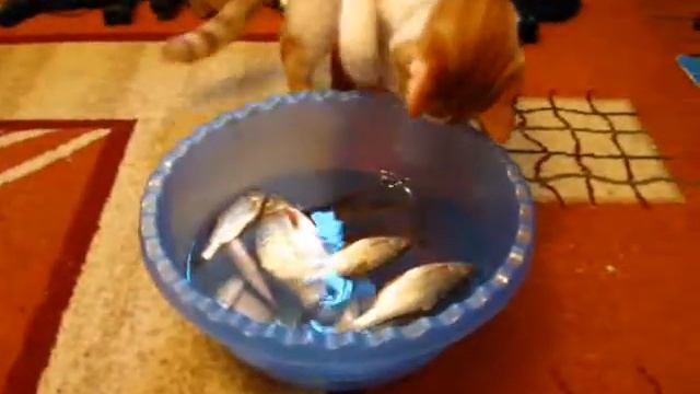 Кузьма 7,5 месяцев смотреть онлайн