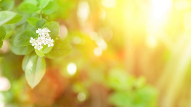 Relaxing Piano Music • Sleep Music, Meditation Music, Background Music, Study Music #96