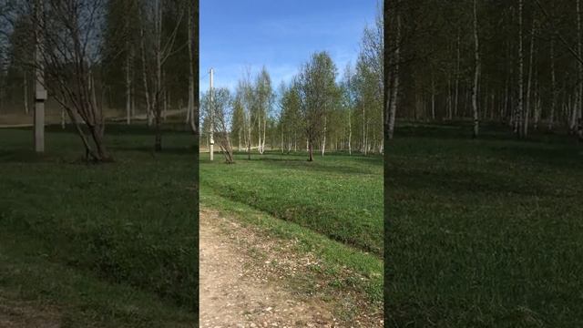 Продаю участок в Изумрудных кронах 100 км от Мкад со всеми коммуникациями за 350 тыс смотреть онлайн