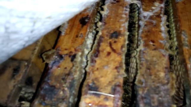 ОСМОТР ЗИМОВНИКОВ, КАК ЗИМУЮТ НАШИ ПЧЁЛЫ. ВЕНТИЛЯЦИЯ ЗИМОВНИКОВ И ОБОГРЕВ.??? смотреть онлайн