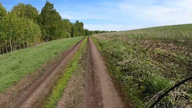 ч.2.1. На велосипеде по лесу. С ветерком. Старт. смотреть онлайн
