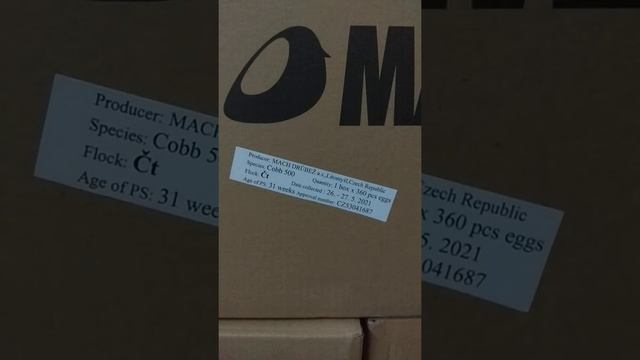 инкубационное яйцо бройлера Чехия кобб500 поставка 01.06.21