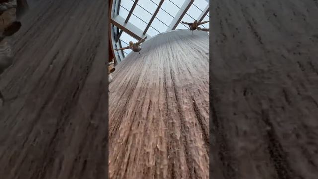 Где самый выгодный шопинг в Дубае? Зимний торговый фестиваль смотреть онлайн