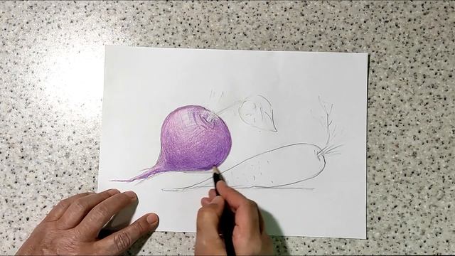 Овощи: Свёкла и морковь смотреть онлайн