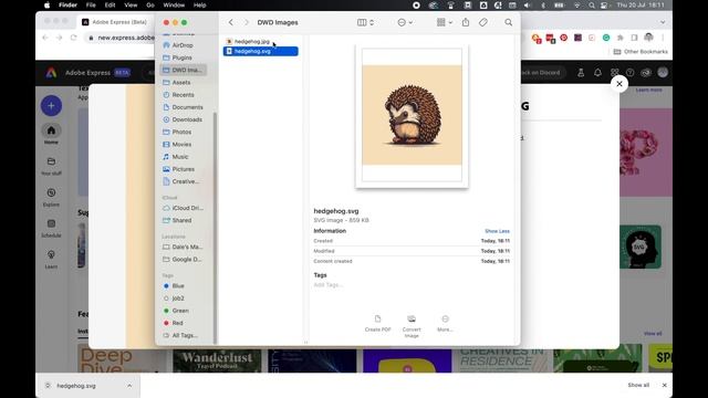 Convert JPG To SVG In Seconds In Adobe Express смотреть онлайн