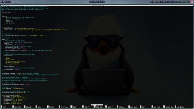 Hardware-Acceleration on NixOS super easy смотреть онлайн