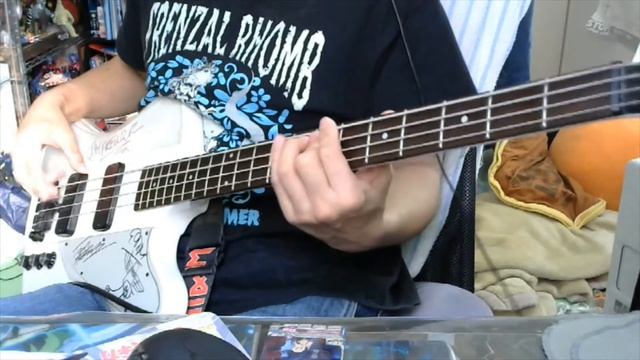 FRENZAL RHOMB- Find Your Own Way Home(BASS Cover) смотреть онлайн