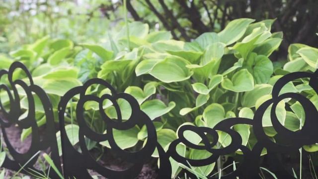 Хосты Карнавал Цветов 2017 (совместно с Тоталита - декор для сада) смотреть онлайн