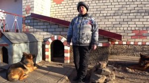 Советы начинающим собаководам. Как лучше обустроить место для собаки на участке.