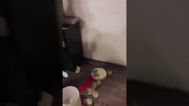 Тут слов нет,все на видео??? смотреть онлайн