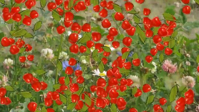 Активное танцевальное движение