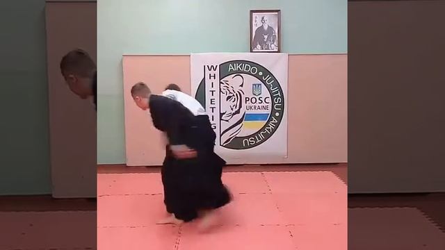 Айкидо Санкасуру смотреть онлайн