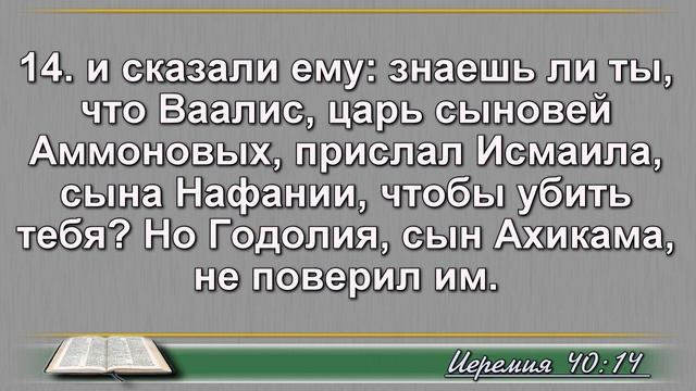 11 ноября