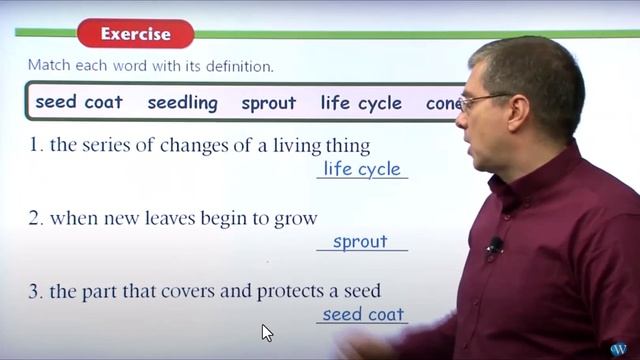 The world com edu american textbook смотреть онлайн