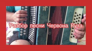 Червона Рута // Разбор песни