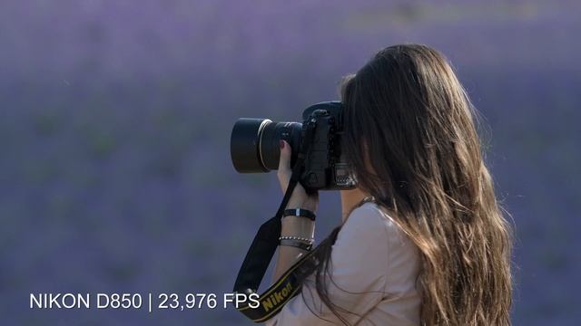 SONY PXW-Z280 Vs. NIKON D5 Vs. NIKON D850 смотреть онлайн