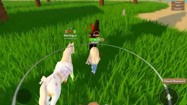 Horse Catching Haul - April 2023 | Wild Horse Islands смотреть онлайн