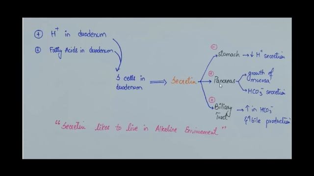 REGULATORY SUBSTANCES OF GIT смотреть онлайн